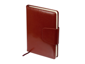 Ежедневник недатированный А5 Prestige 